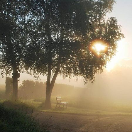 Schinderhanneshof Weitersborn Buitenkant foto